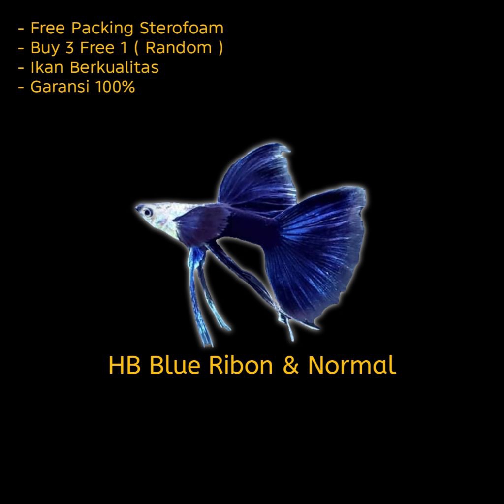 Hiasan Aquarium Guppy Hb Blue Ribon & Normal
