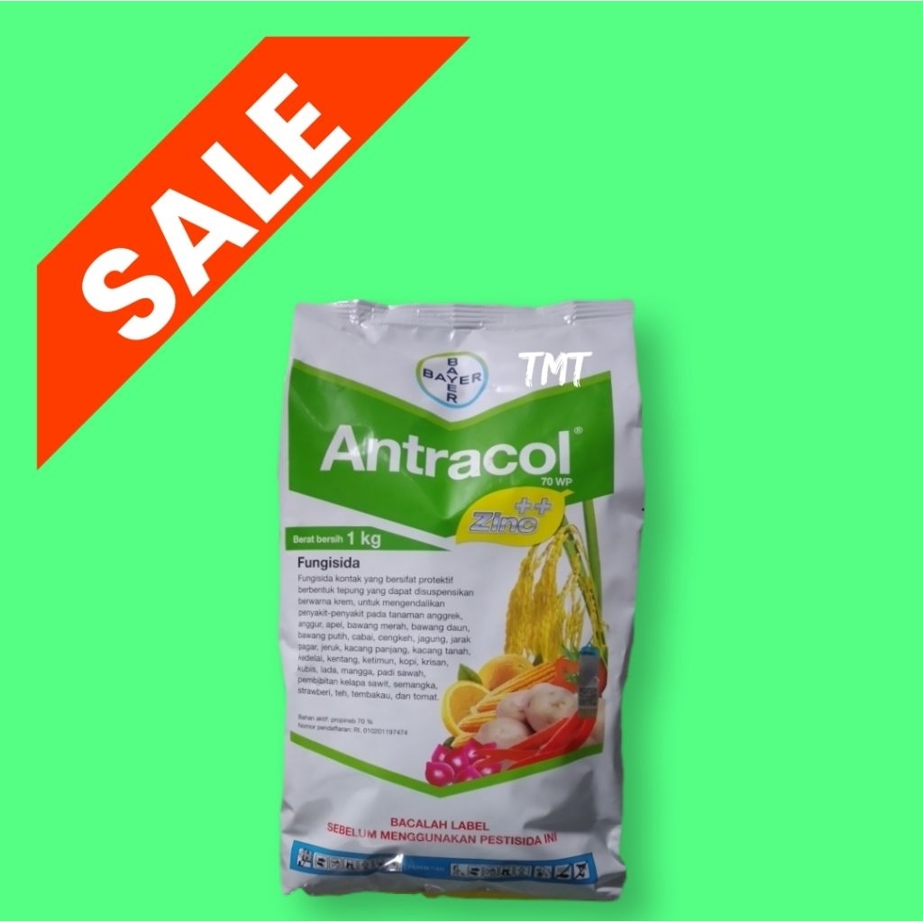 ANTRACOL 70 WP 1 KG
