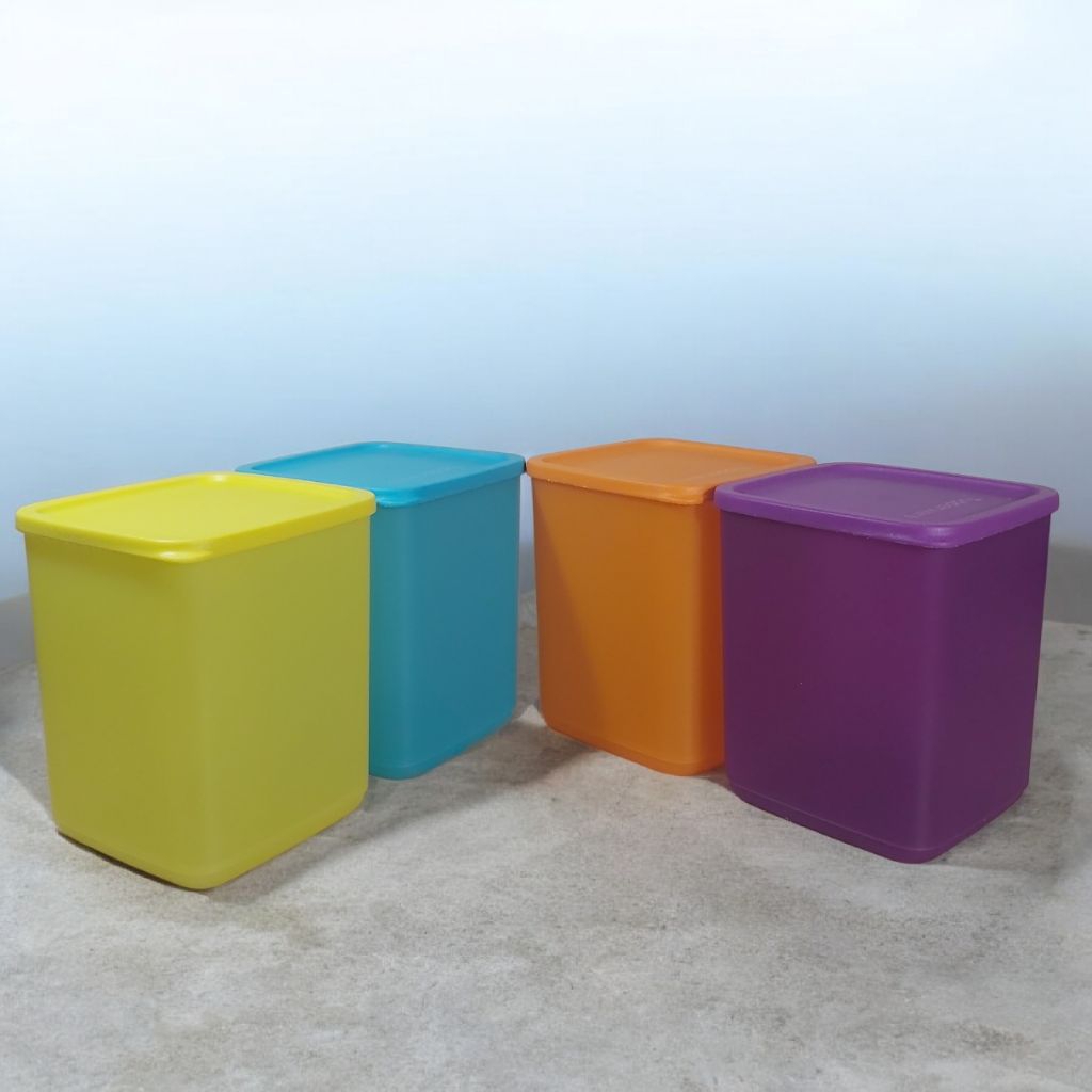 Large Summer Fresh Tupperware