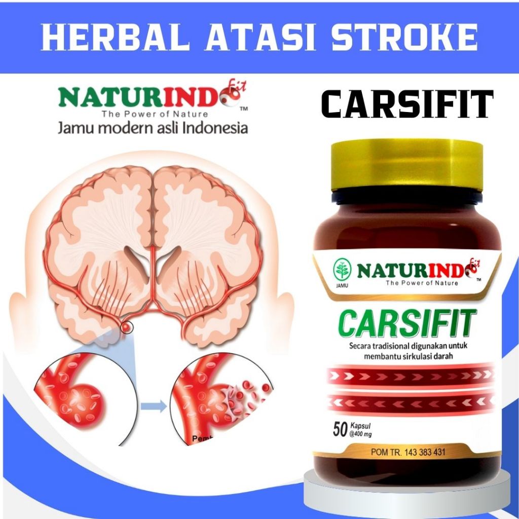 Obat stroke ringan berat mati sebelah gejala struk strok herbal carsifit