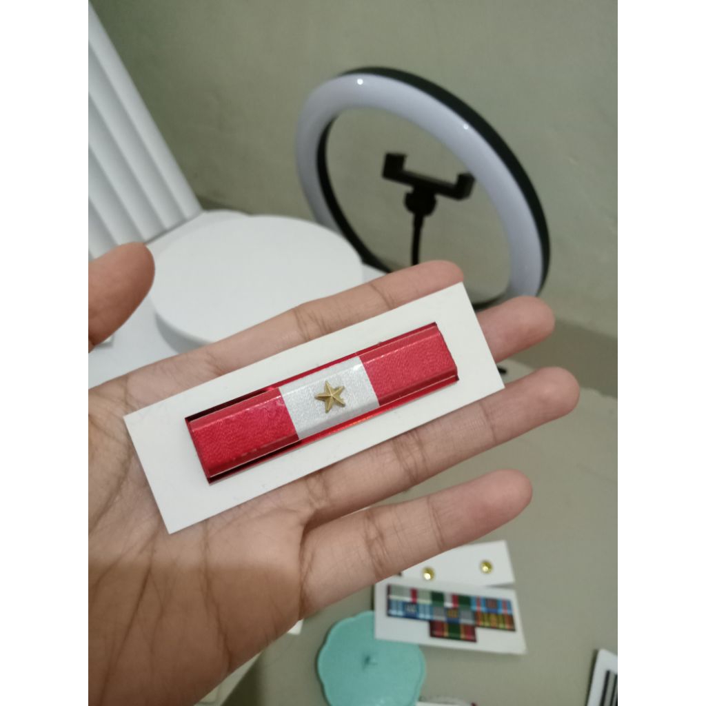 Satya lencana PDH menwa 2 tahun