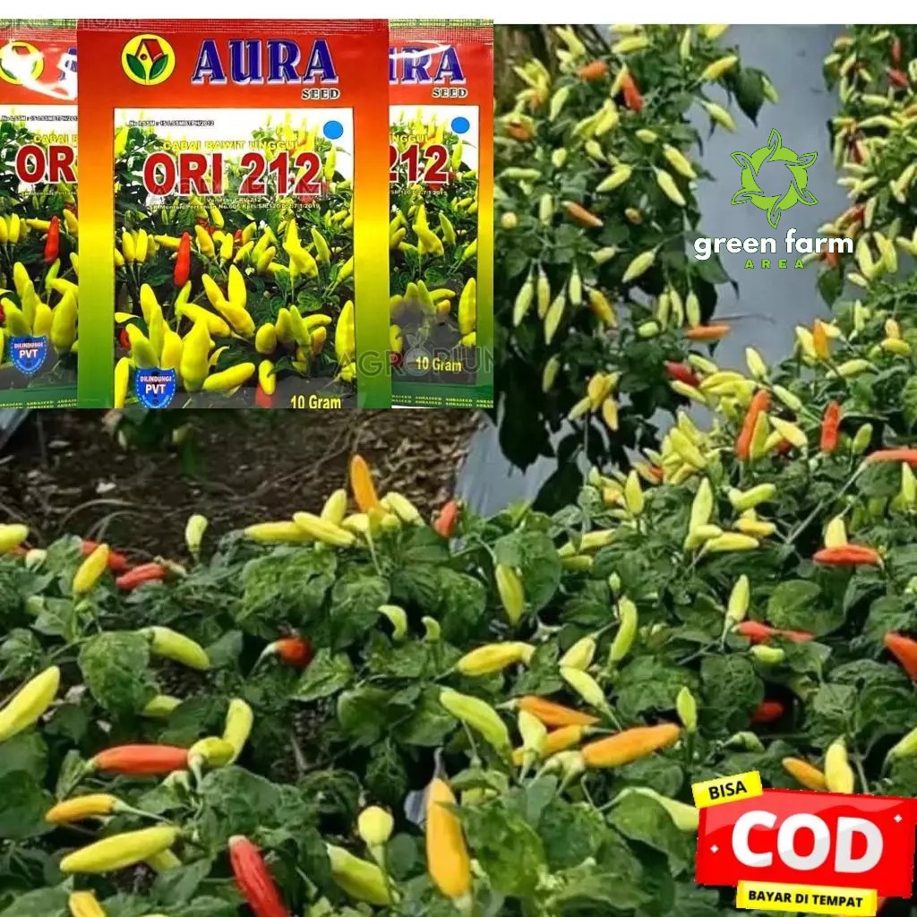 Benih Cabe Rawit ORI 212 10GR - Aura seed