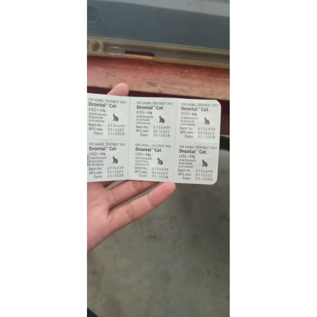 Drontal Cat Original