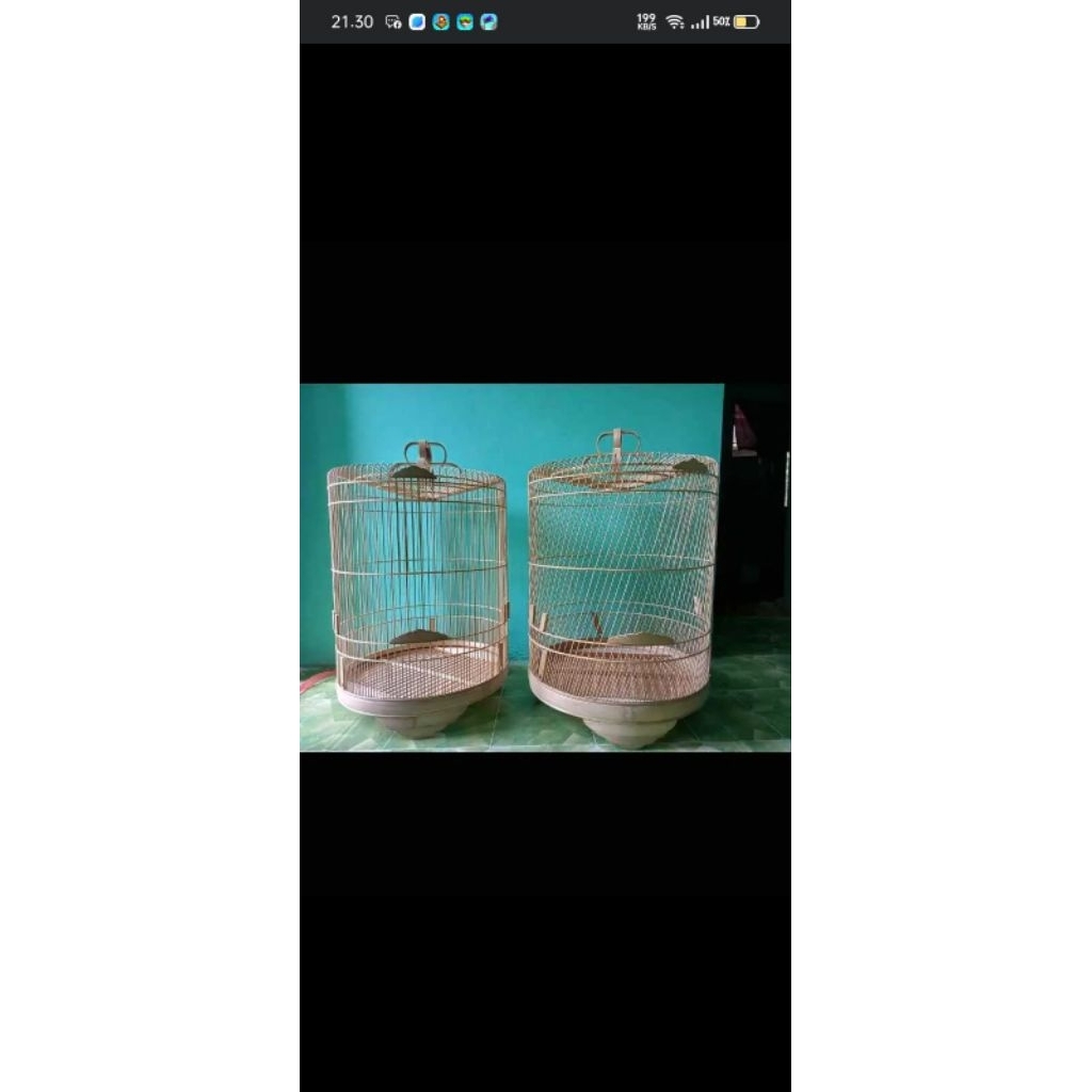 SANGKAR MURAI MIRING MENTAHAN