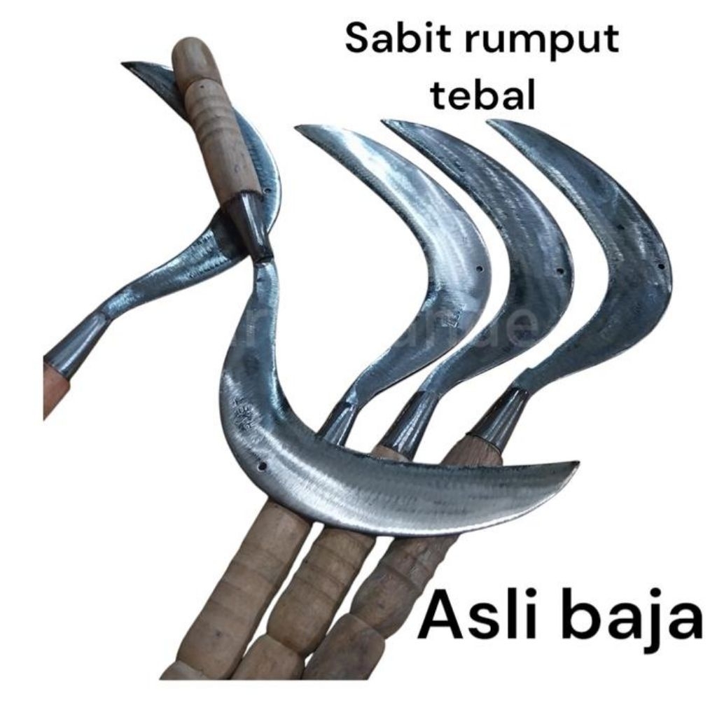 alat perkebunan sabit arit rumput murah berkualitas asli baja