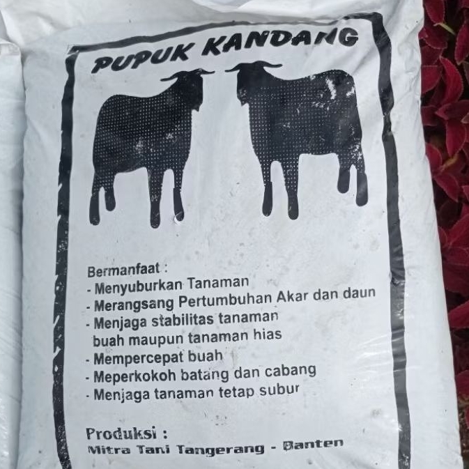 pupuk kandang organik