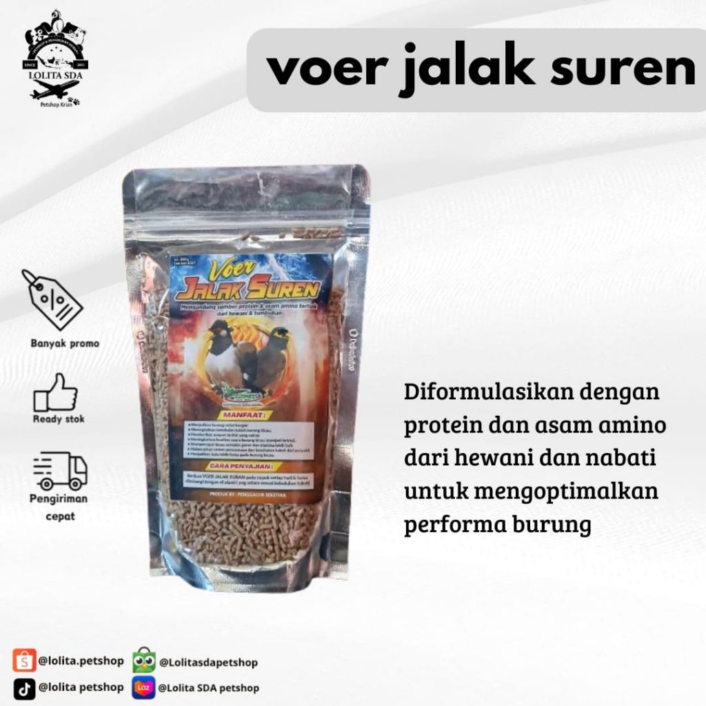 voer jalak suren tinggi protein dan asam amino untuk burung