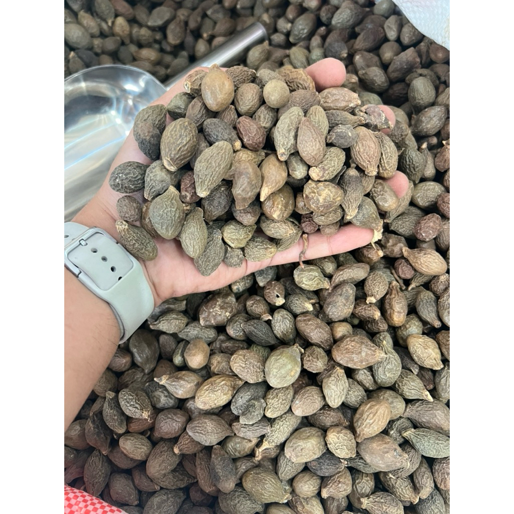 Buah Tempayang 100gr / Biji Kembang Semangkuk Untuk  Panas Dalam dan batuk