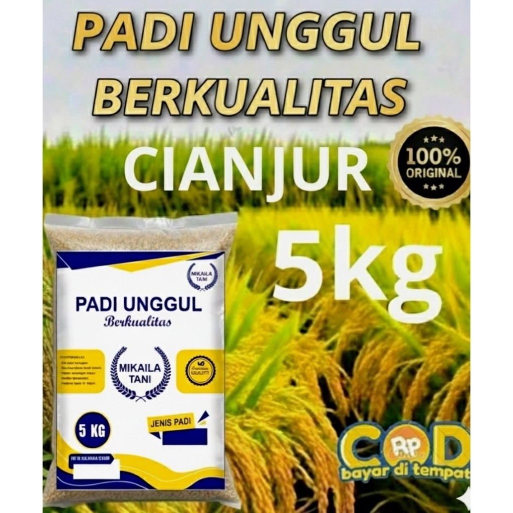 BENIH PADI UNGGUL BERKUALITAS CIANJUR KEMASAN 5KG