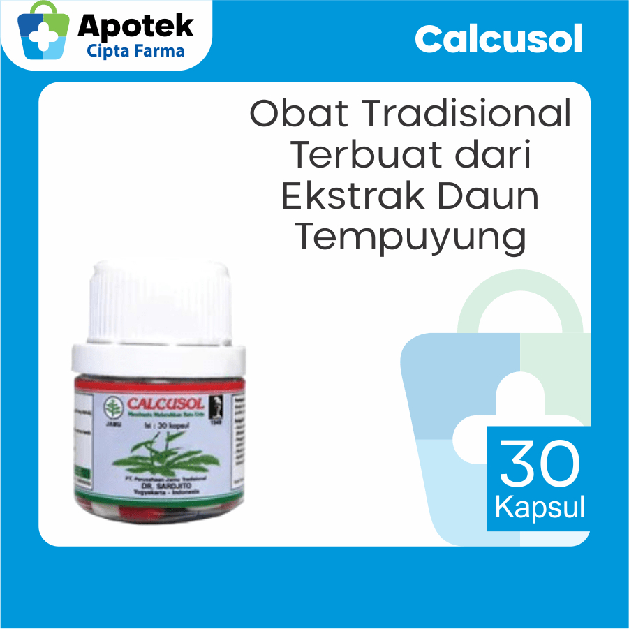 Calcusol 30 Kapsul Ekstrak Daun Tempuyang Obat Tradisional Peluruh Batu Ginjal Batu Urin Saluran Kem