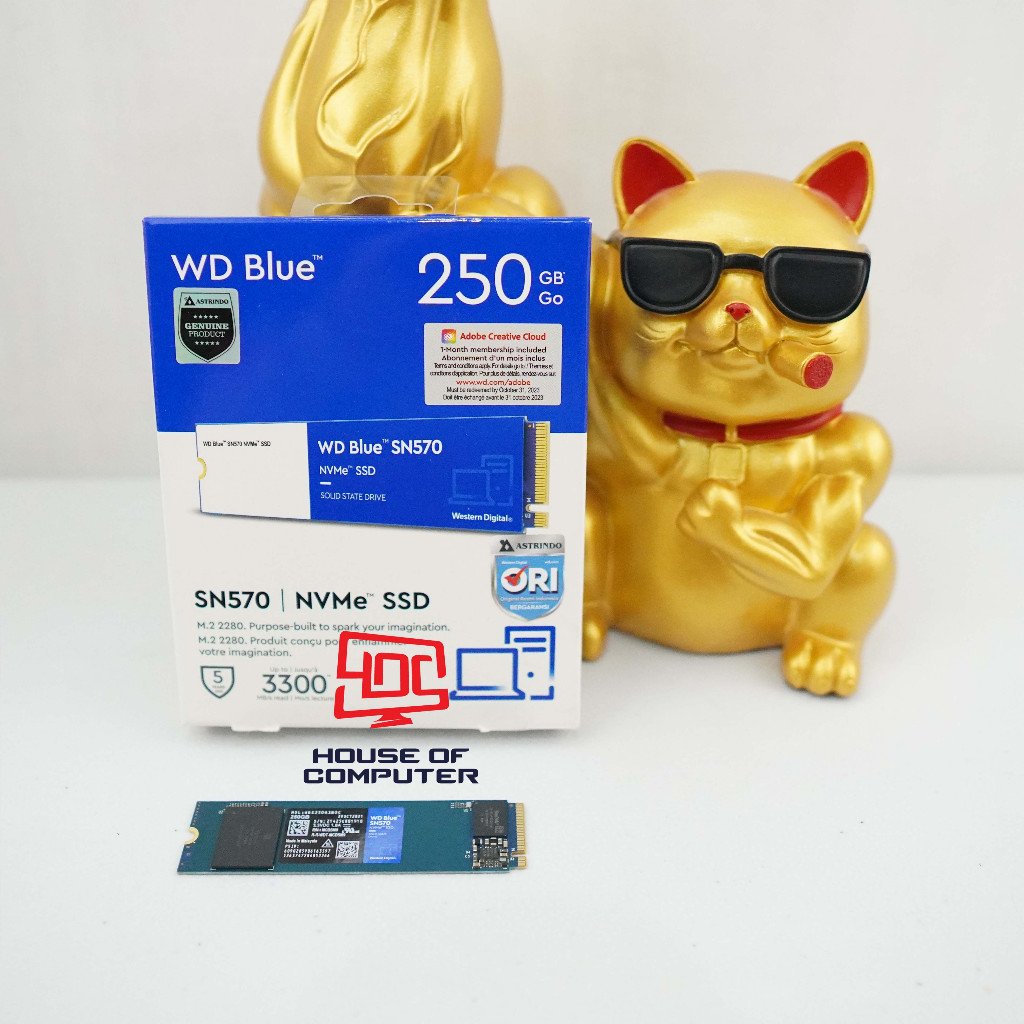 SSD WD BLUE M.2 NVME SN570 250GB Pcie Gen3 Nvme 2280