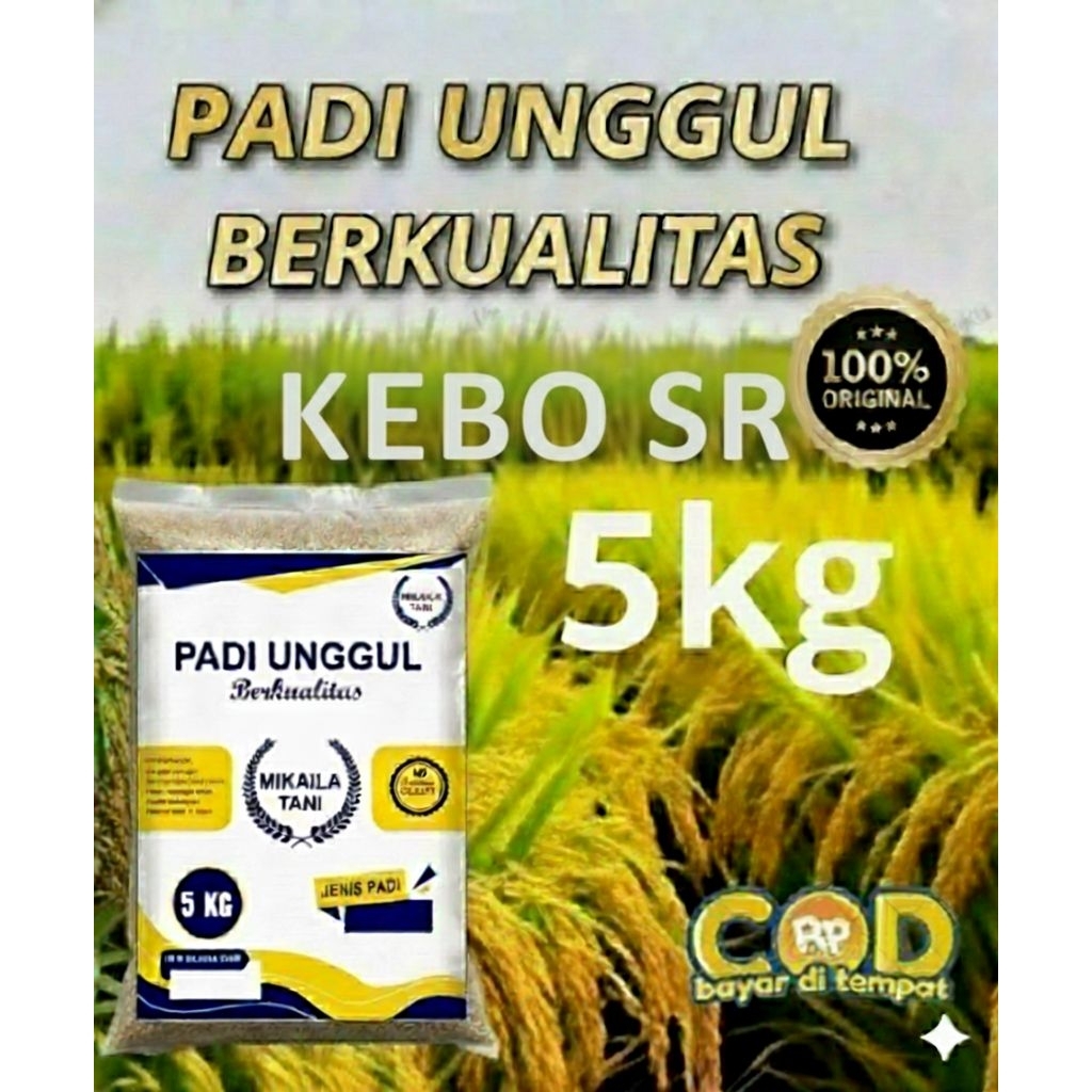 BENIH PADI UNGGUL BERKUALITAS KEBO, SR KEMASAN 5KG