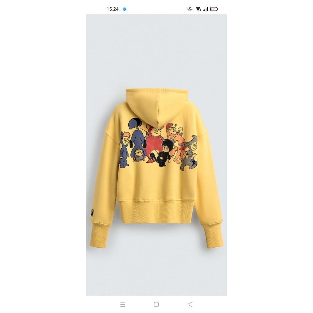 Zara Disney Sweatshirt Hoodie