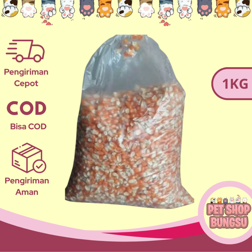 JAGUNG KRISTAL PAKAN BURUNG MERPATI 1KG
