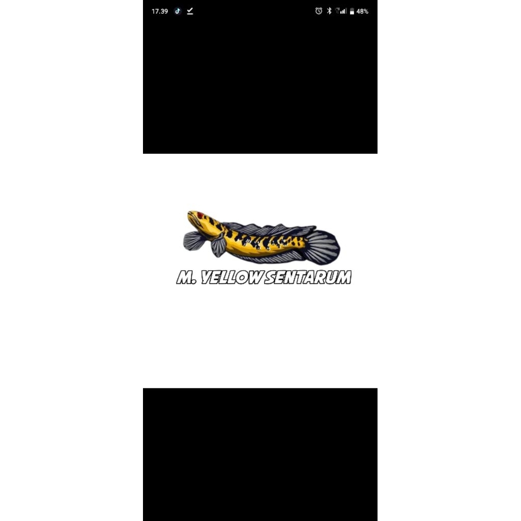 stiker chana maru ys 10-12cm singgle tank