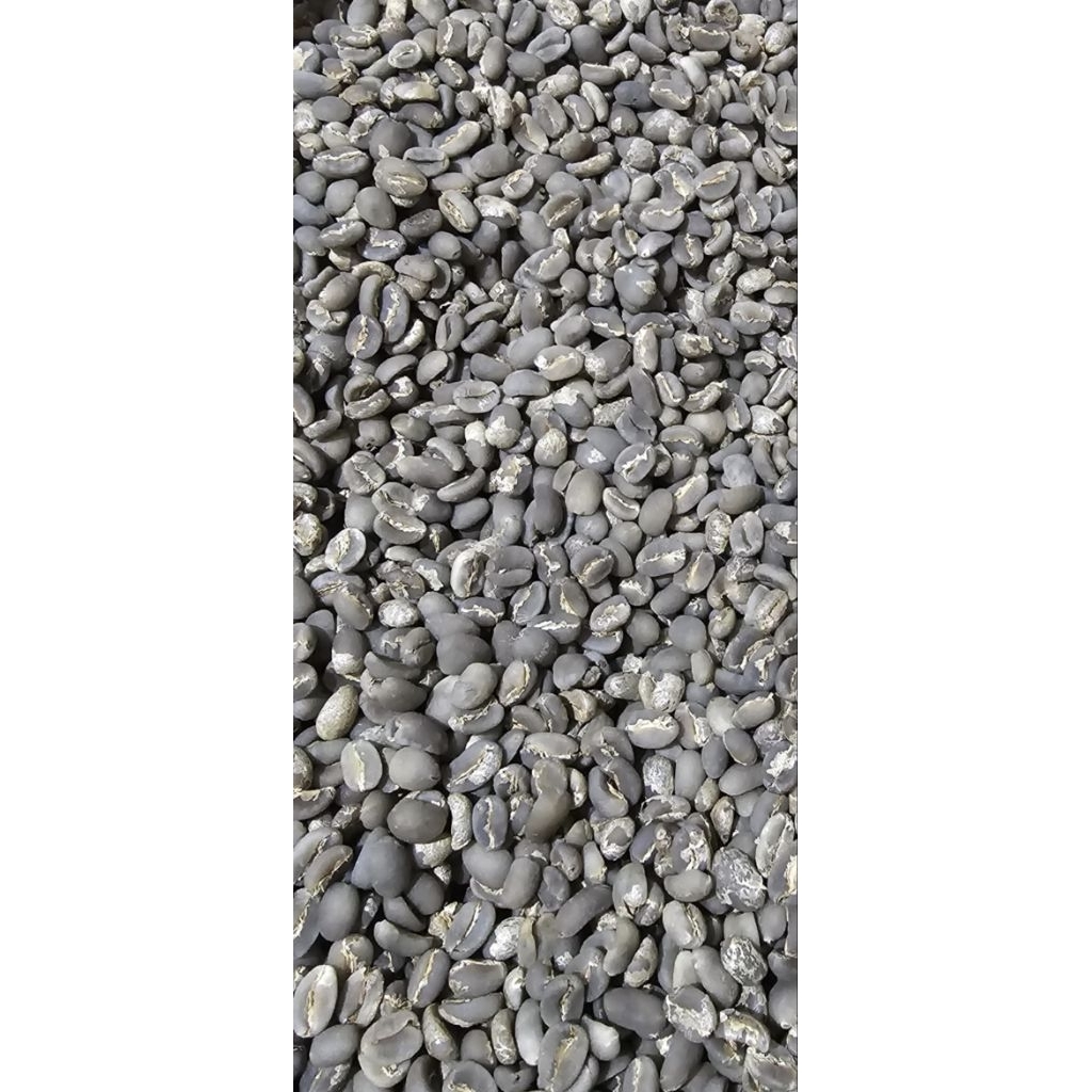 green bean Arabika Mamasa