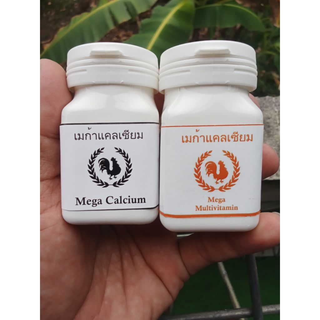 Mega Calcium & Multivitamin Ayam Aduan - Menguatkan Tulang & Stamina
