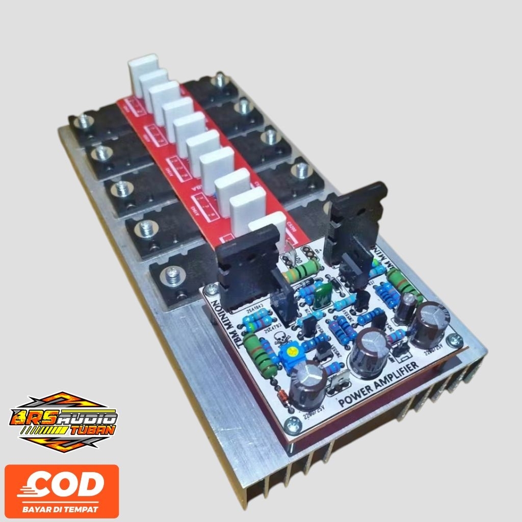 Kit Driver TBM MINI Plus Final Siap Pakai Cocok Untuk Amplifier Rumahan