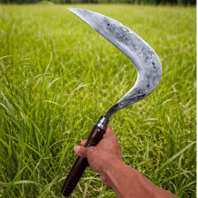 Arit Rumput Maduraan Baja Per Premium | Sabit Ngarit Panen Padi