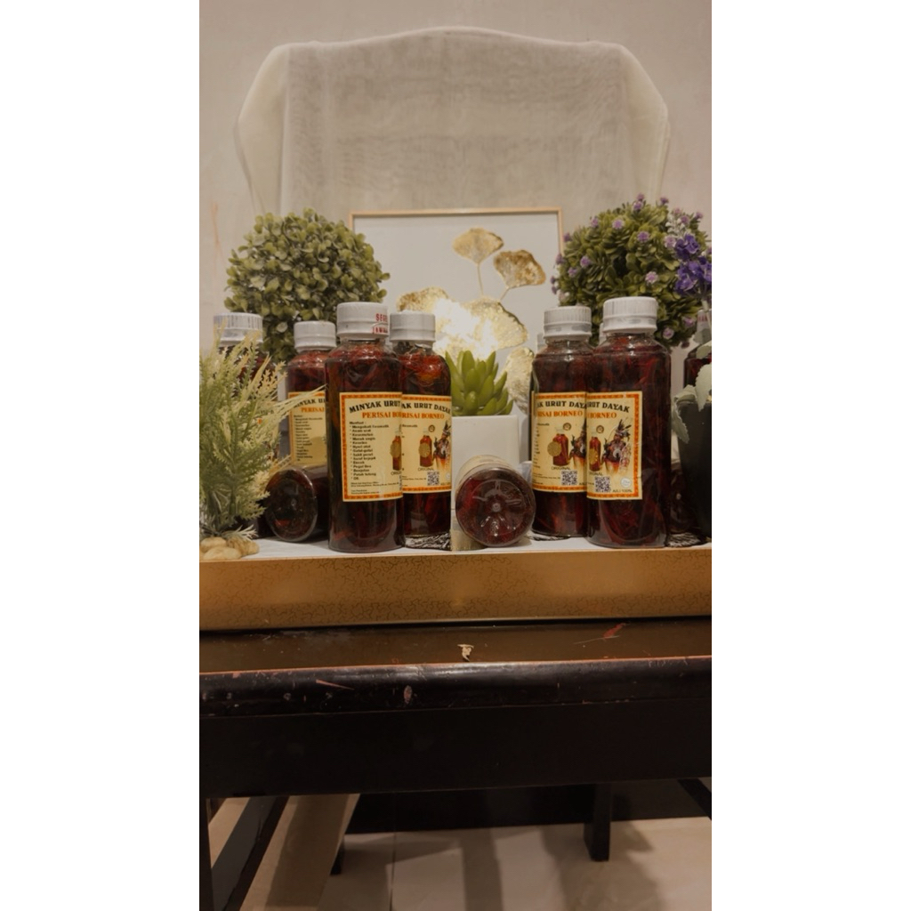 Minyak Urut Dayak Perisai Borneo 250ml - Herbal, Aman, Efektif