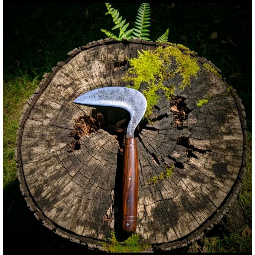 Arit Fulltank Arit Rumput Arit Multipungsi Bahan Per Baja Gagang Kayu Sonokeling Sudah Di Pin