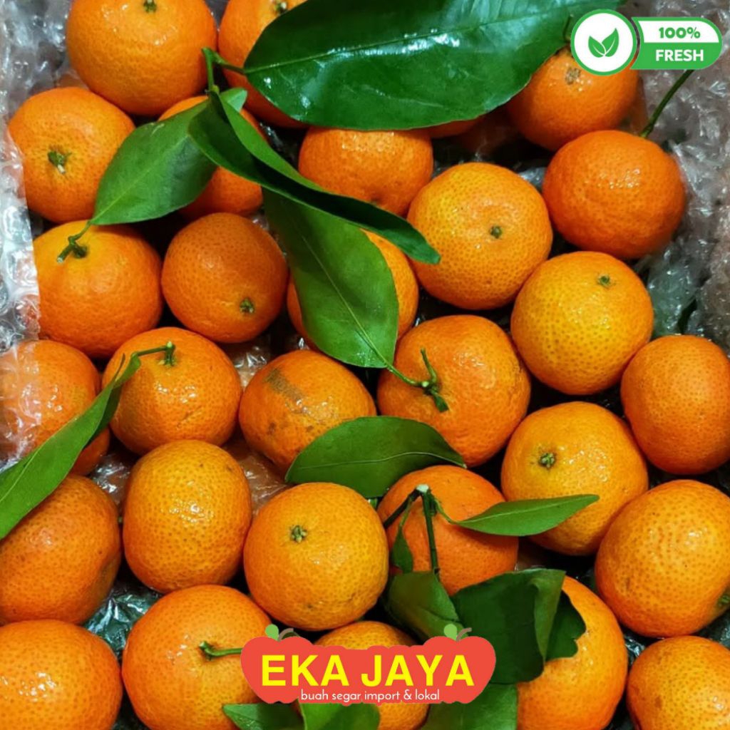 READY BUAH JERUK SANTANG MADU DAUN 1KG MANIS FRESH / JERUK SANTANG DAUN OREN