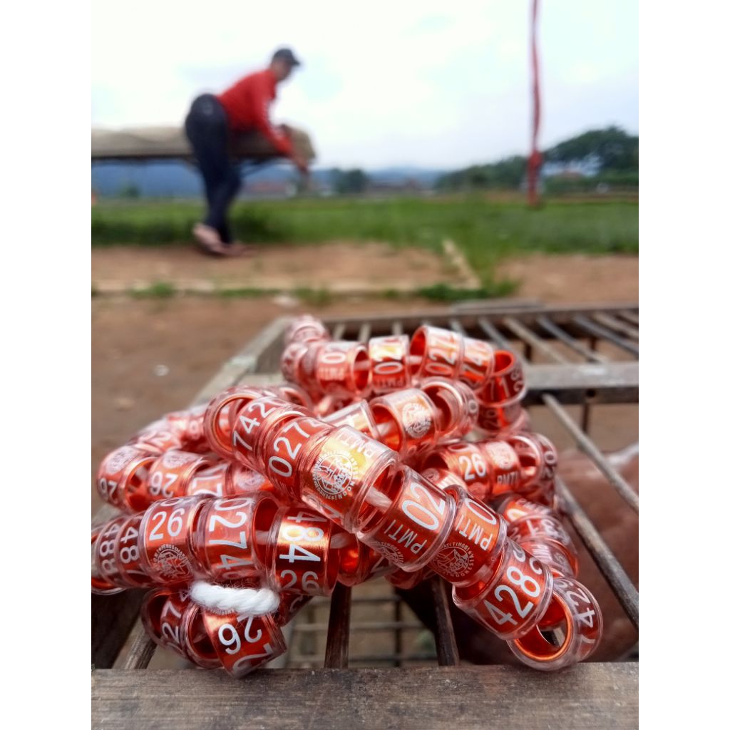 Ring Pusat PMTI 2026 Original 100 %