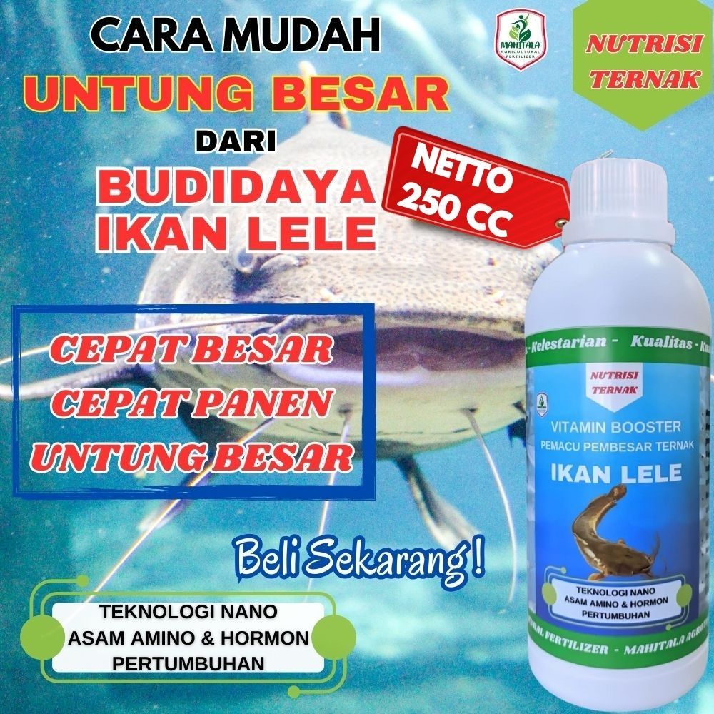 Vitamin Obat Pakan Ikan Lele Pemacu Pembesar Ikan Lele Pakan Lele Nutrisi Suplemen Pembesaran Lele