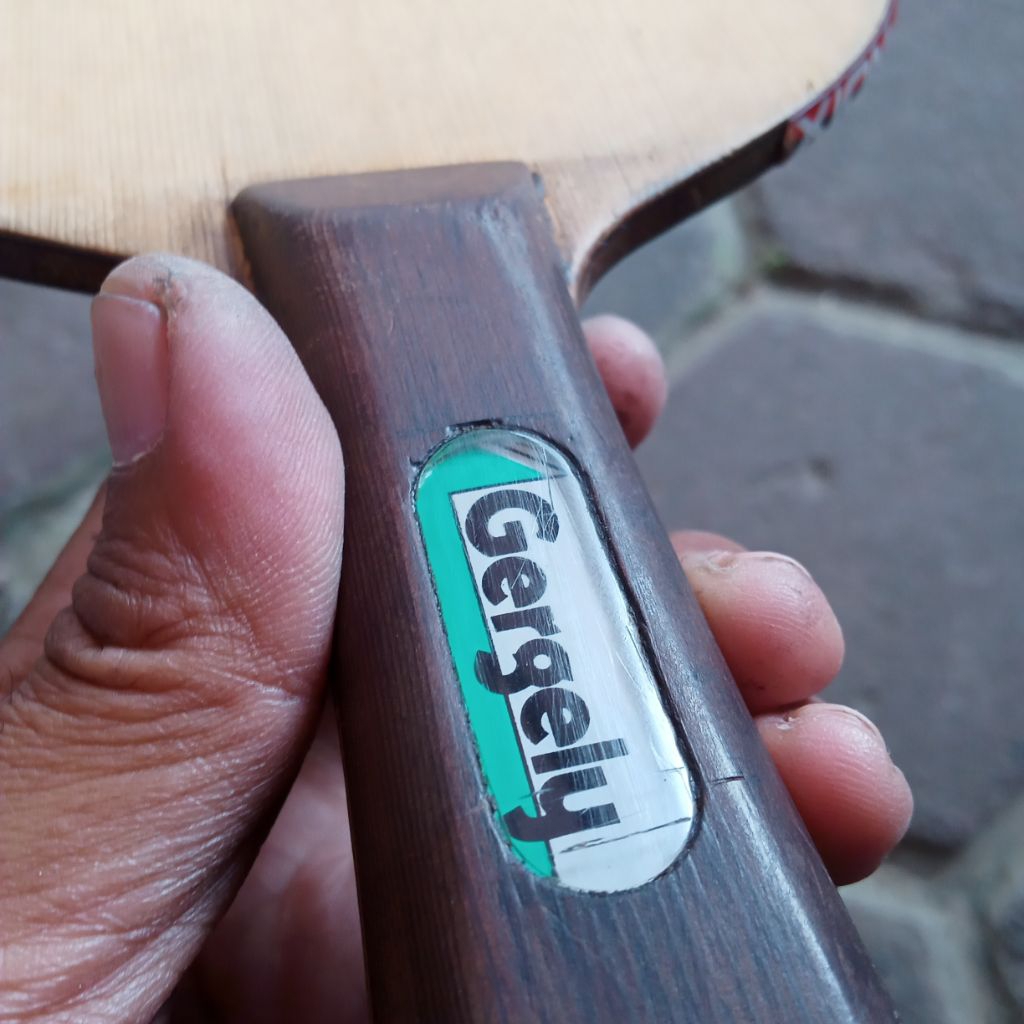 butterfly gergely old tag