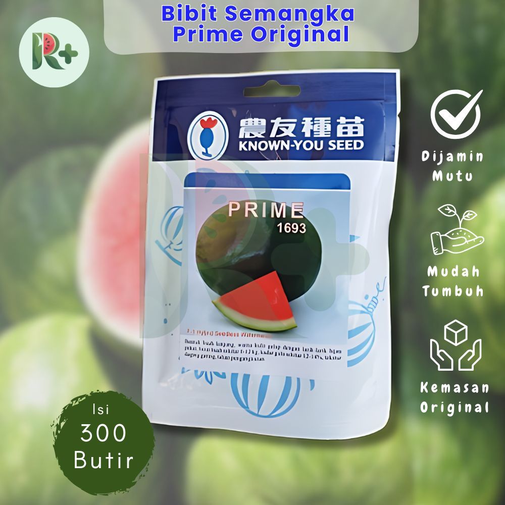 STOK TERBATAS BIBIT SEMANGKA NON BIJI F1 PRIME 20 GR 300 BUTIR KUALITAS SUPER BARANG ORIGINAL