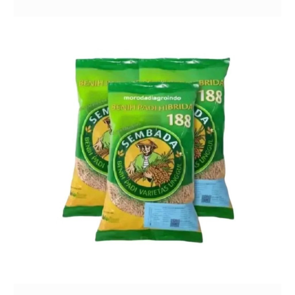1KG BENIH PADI HIBRIDA SEMBADA 188 100% ORIGINAL