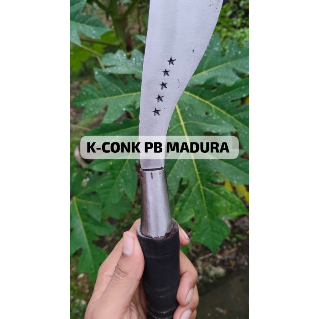 arit/sabit rumput tradisional asli baja