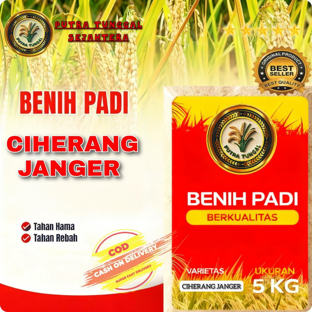 (5KG) Benih Padi CIHERANG JANGER Bibit padi super unggul berkualitas