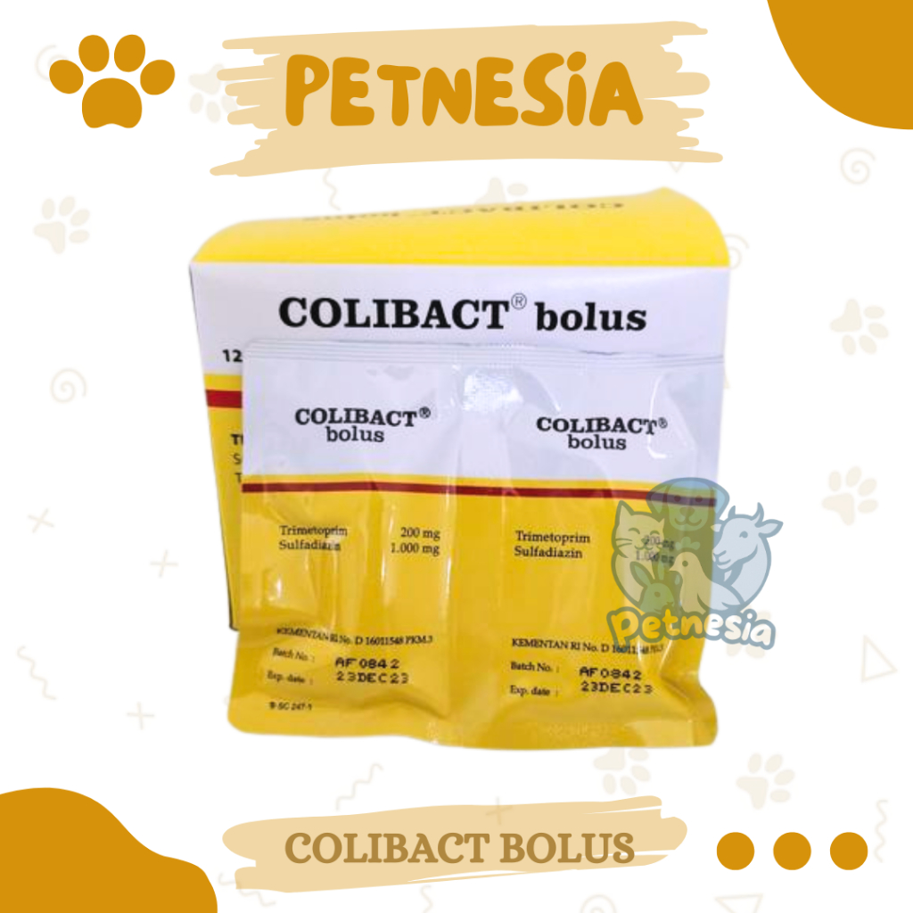 ECER 1 COLIBACT BOLUS OBAT DIARE HEWAN - Obat Sapi Kuda Domba Babi