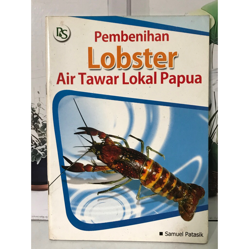 PEMBENIHAN LOBSTER AIR TAWAR PAPUA