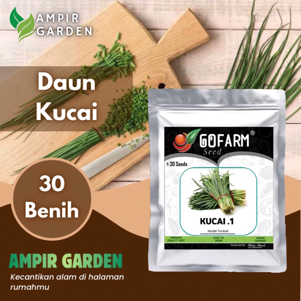 Benih DAUN KUCAI Kemasan Premium GOFARM / Bibit Biji Tanaman Sayuran Daun Kucai Hijau Bumbu Masakan