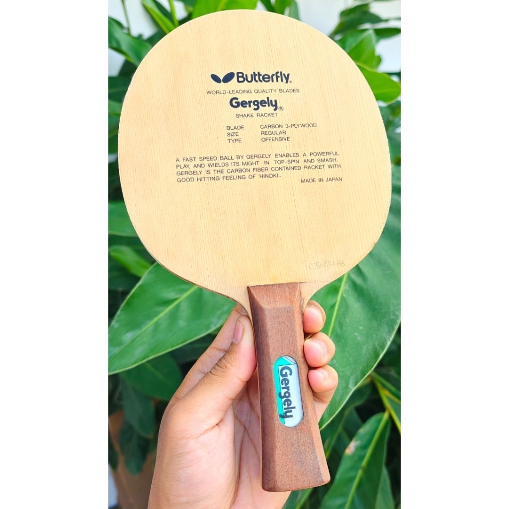 Butterfly Gergely / Kupu Kecil / Tag Lama