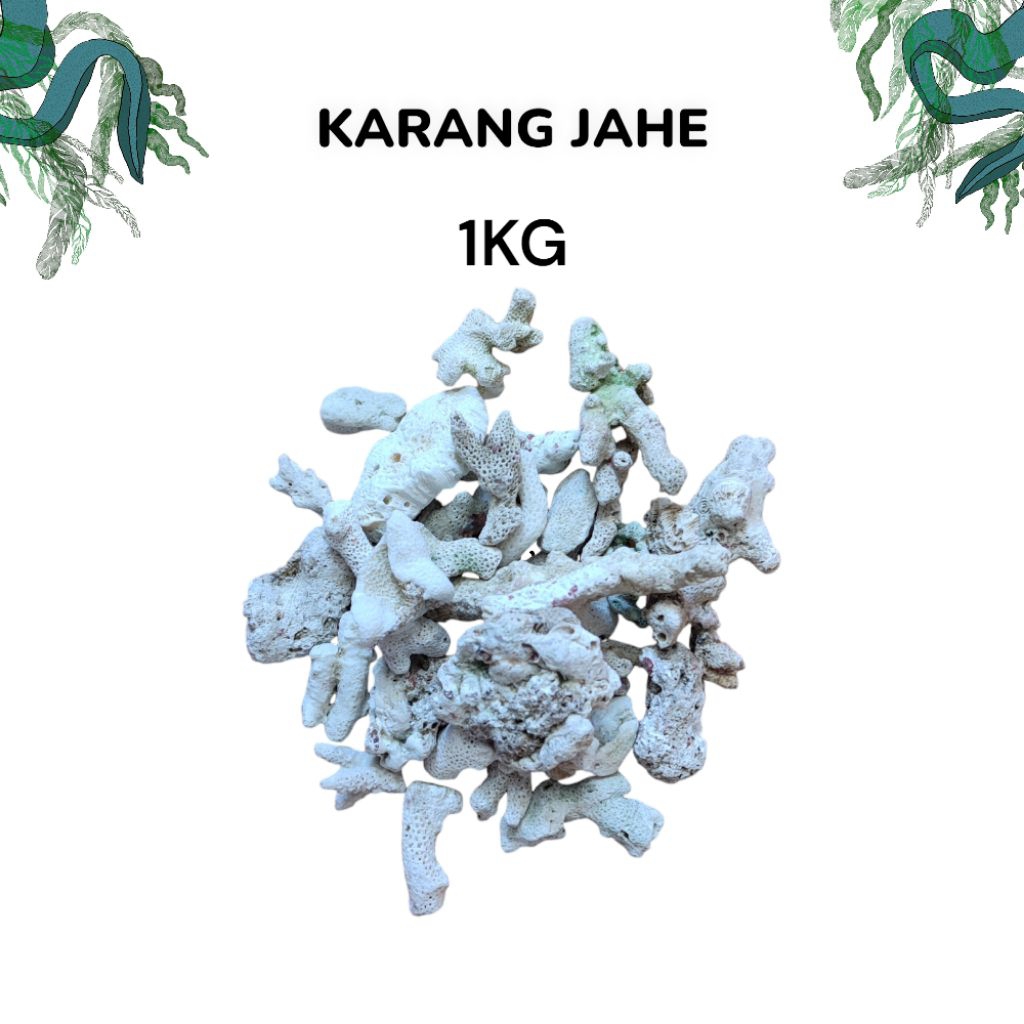 Karang jahe 1kg/karang jahe/ batu karang jahe 1kg/batu karang jahe