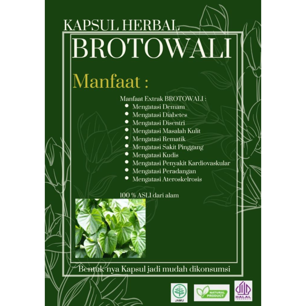 Kapsul extrak BROTOWALI 100pcs