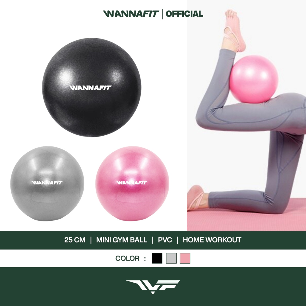 WANNAFIT Gym Ball 25cm | Bola Yoga Mini | Alat Olahraga Rumah