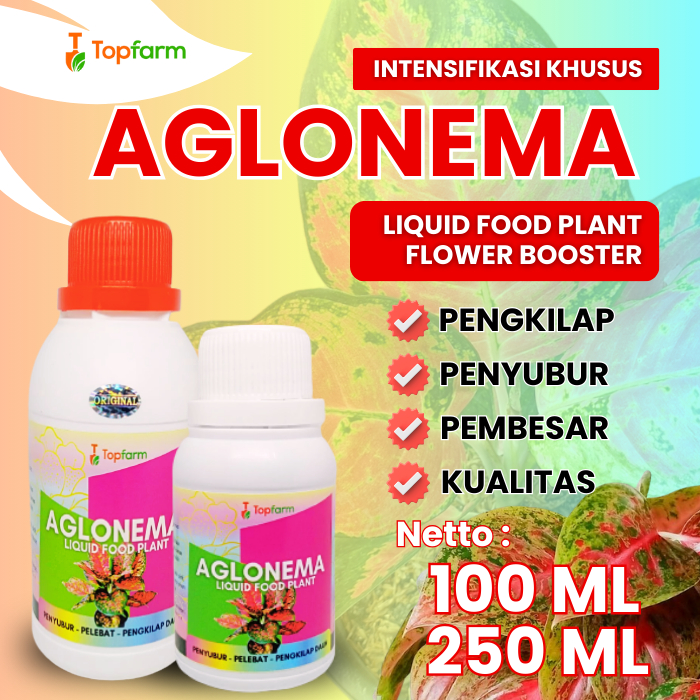 Pupuk aglonema premium / Pupuk tanaman hias aglonema / Pupuk pelebar daun aglonema / Pupuk penyubur 