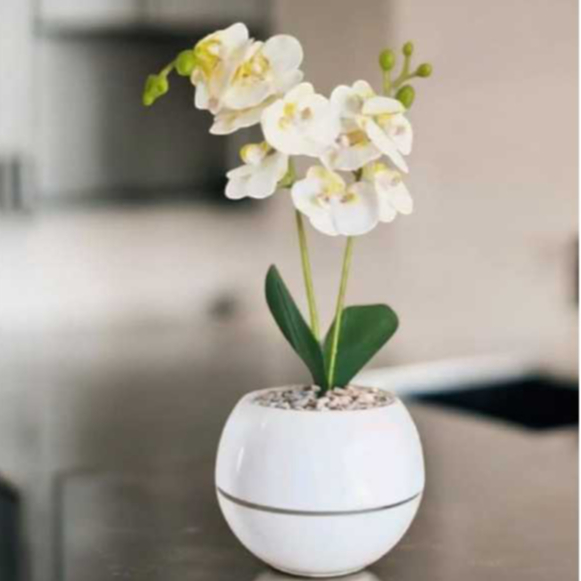 Bunga Plastik ANGGREK BULAN  Artificial Pot Bunga Plastik Bola 18cm - Tinggi 45cm