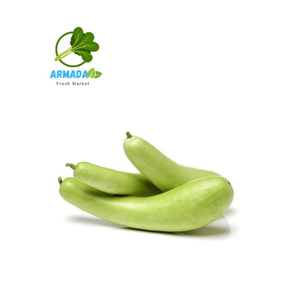 Labu Air muda segar berkualitas