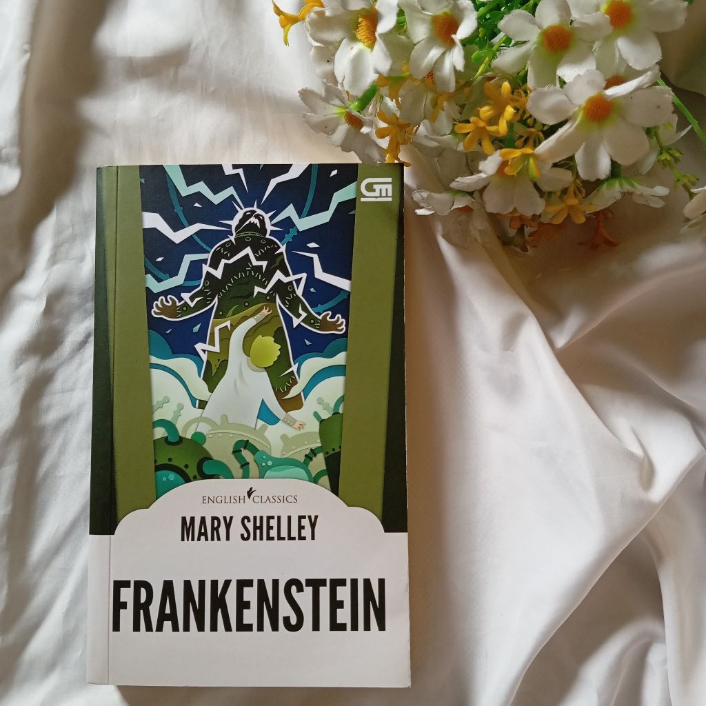 Preloved Frankenstein Mary Shelley