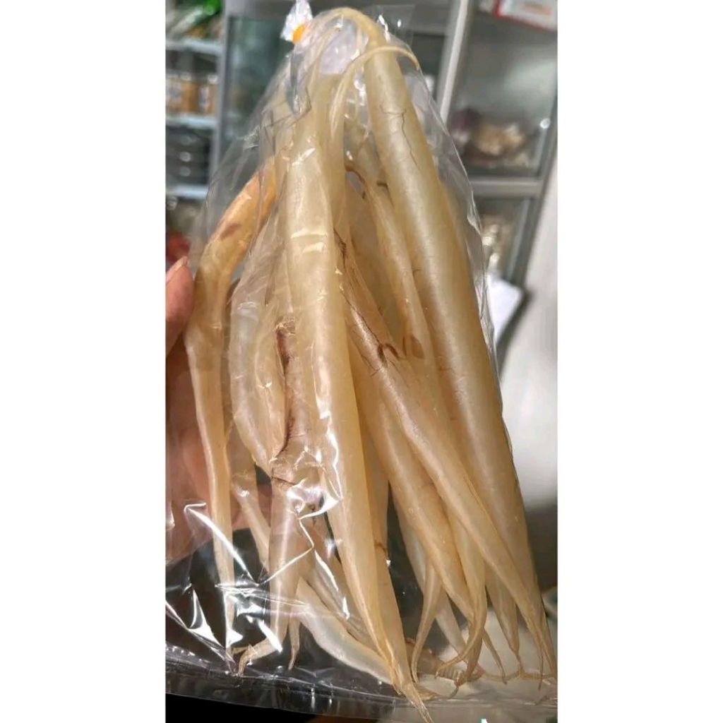 Fish Maw - Hephio Mentah - Perut Ikan Malong - Gelembus Ikan - Gelembung Ikan - He phio - Yipiaw - H