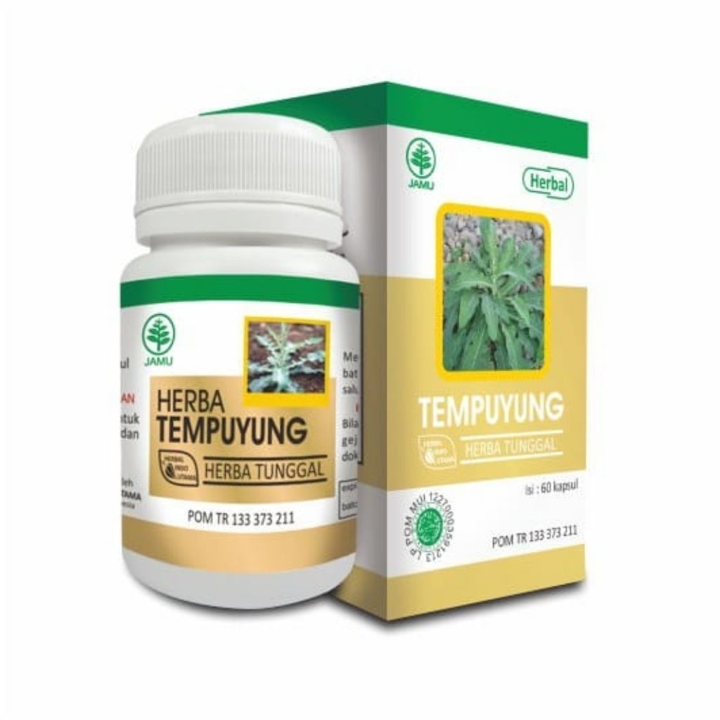 Kapsul Tempuyung Menghancurkan Batu Ginjal dan Batu Empedu
