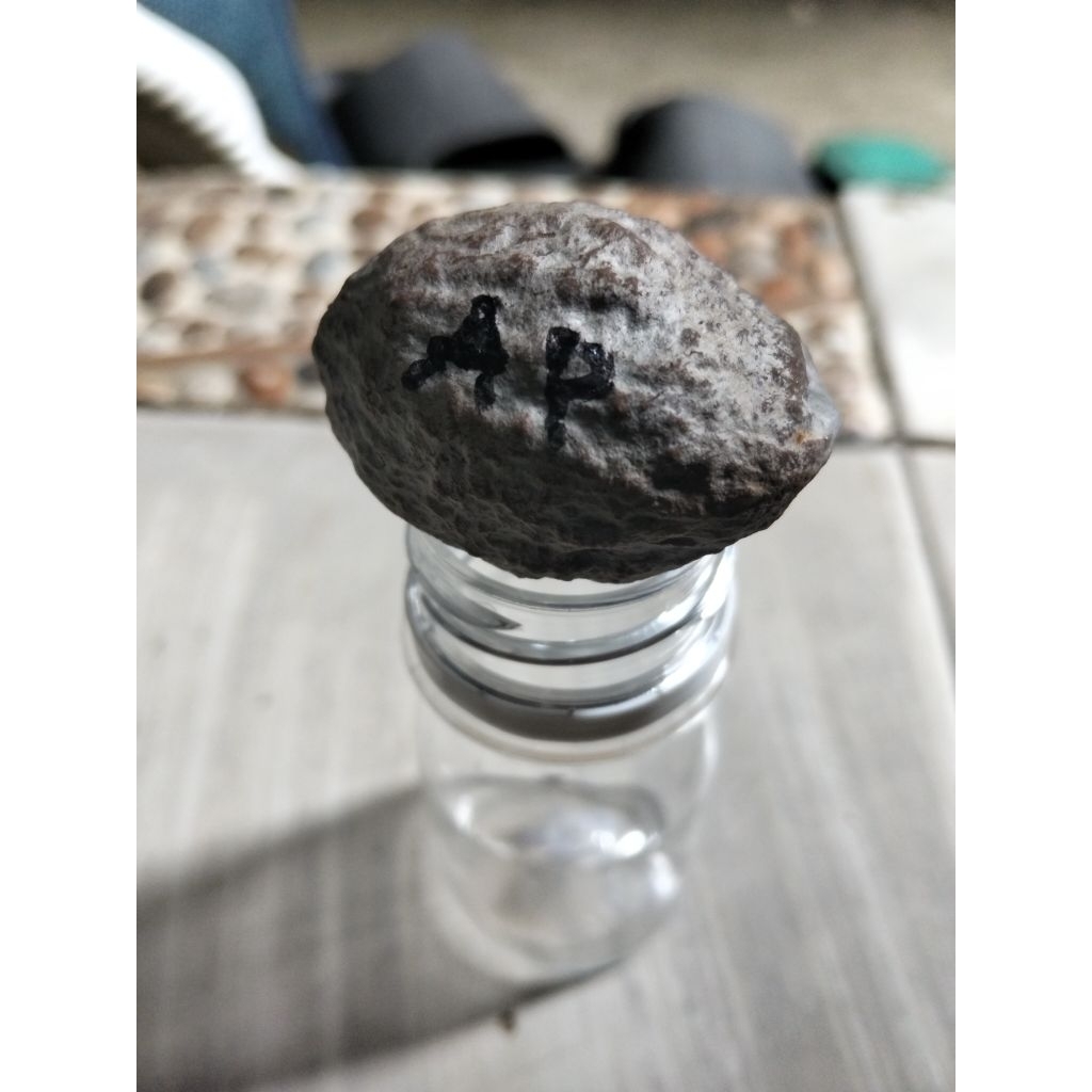 muncang Jayanti apotek original Temon samarang