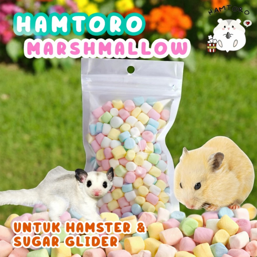 MARSHMALLOW SUGAR GLIDER HAMSTER LANDAK TUPAI TERBANG Marshmellow snack hamster dan sugar glider
