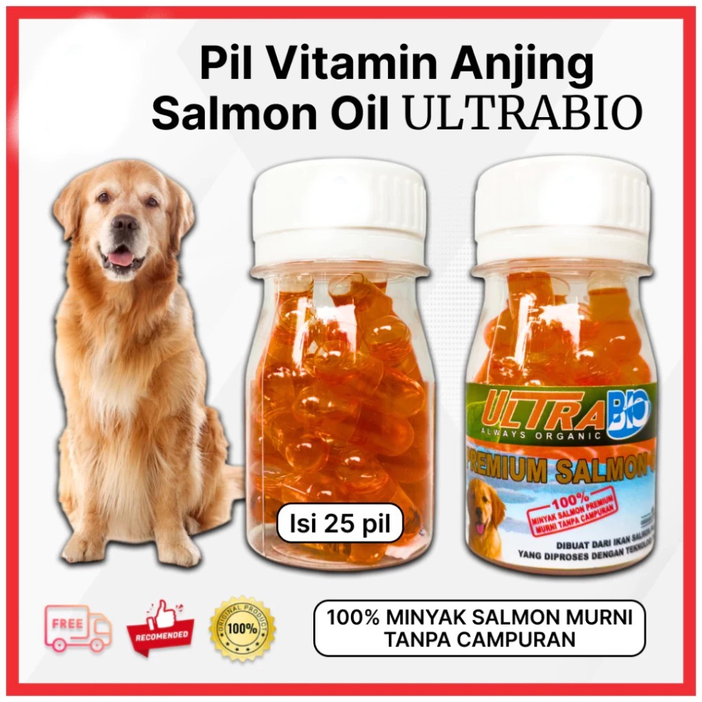 MINYAK SALMON Vitamin Kucing Anjing Asli Vitamin Salmon Oil Omega 3 Import Hewan