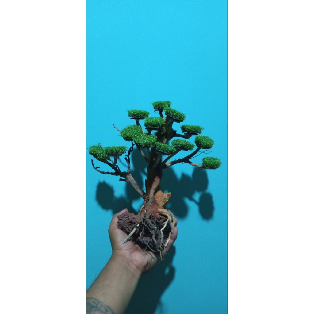 Bonsai Mini Aquascape dengan Moss sintetis Siap Pakai